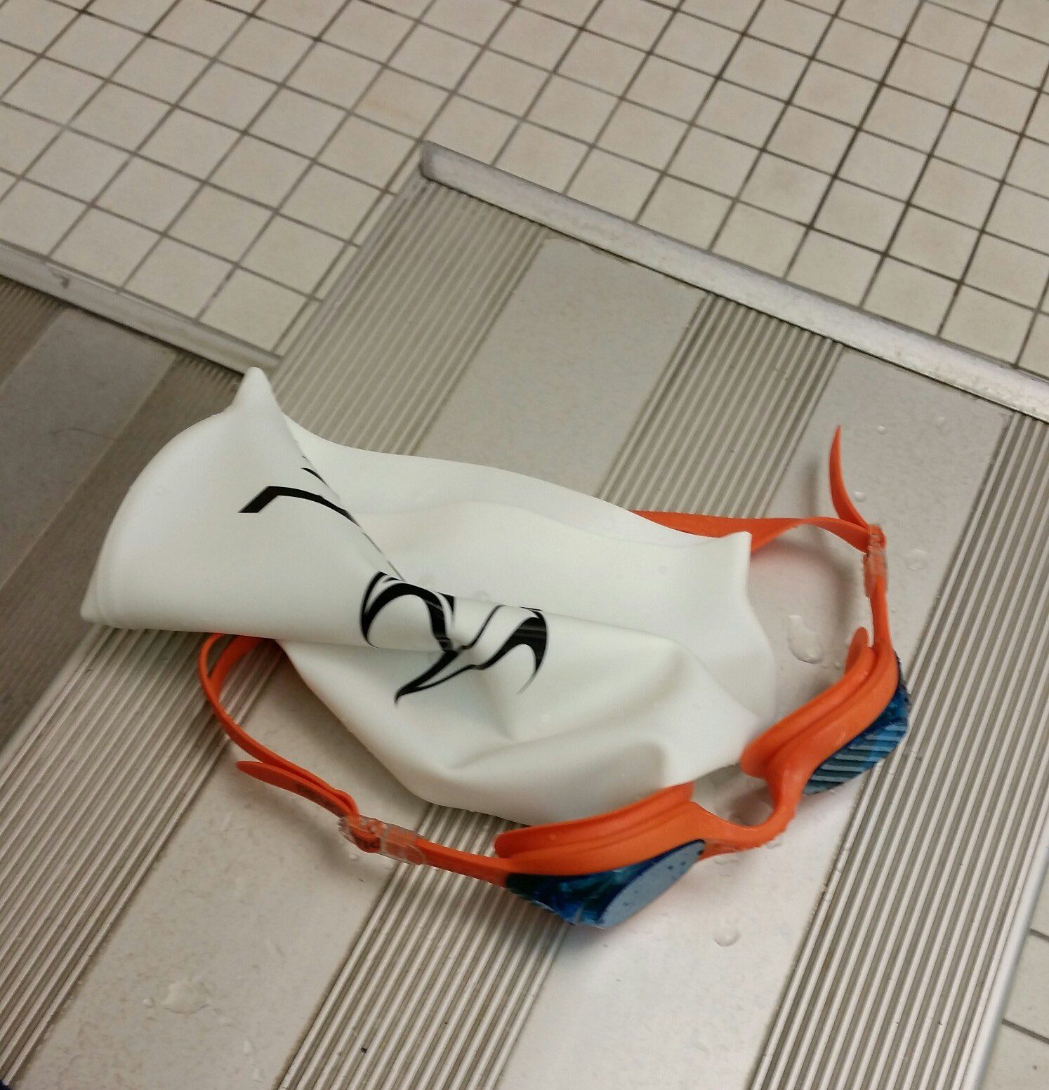 20141020_063657_resized_1